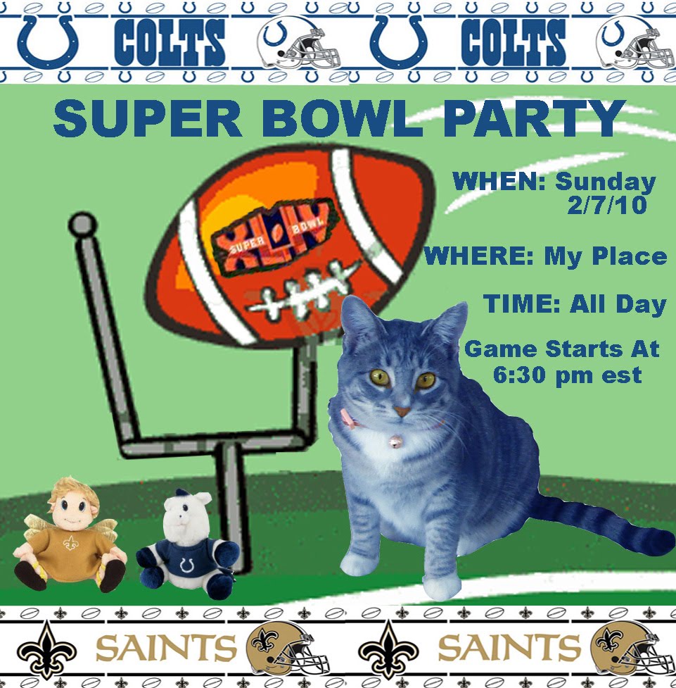 [0+A+Super+Bowl+Party+BY+Gracie+.jpg]