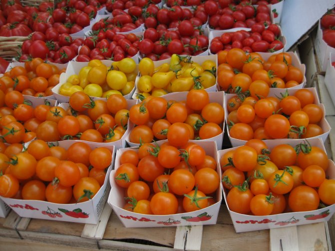 compresse di perdita di peso di frutta plantare