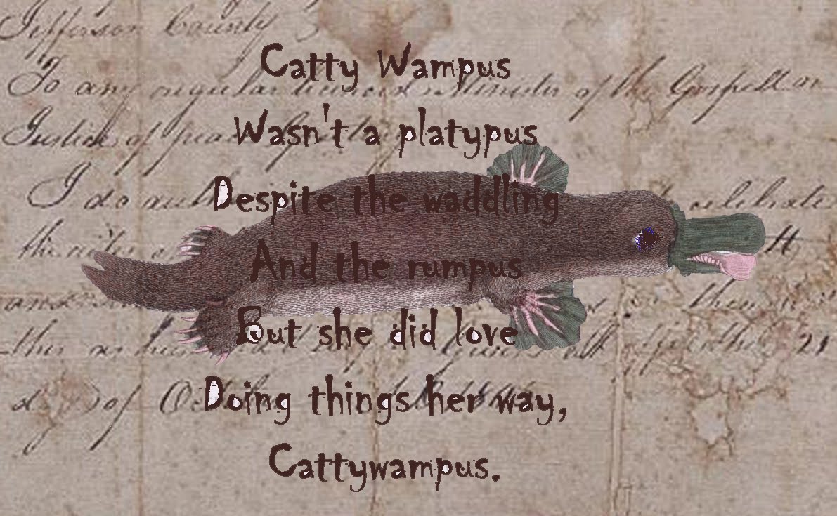 [cattywampus.JPG]