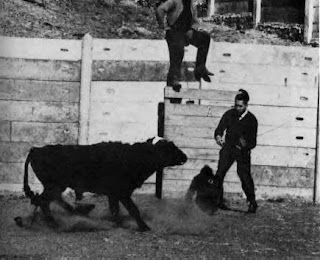 El Toro furioso El Toro furioso