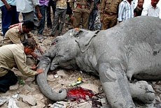 န Guwahati, 28 February :