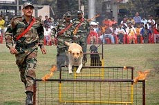 န Guwahati, 17 February :