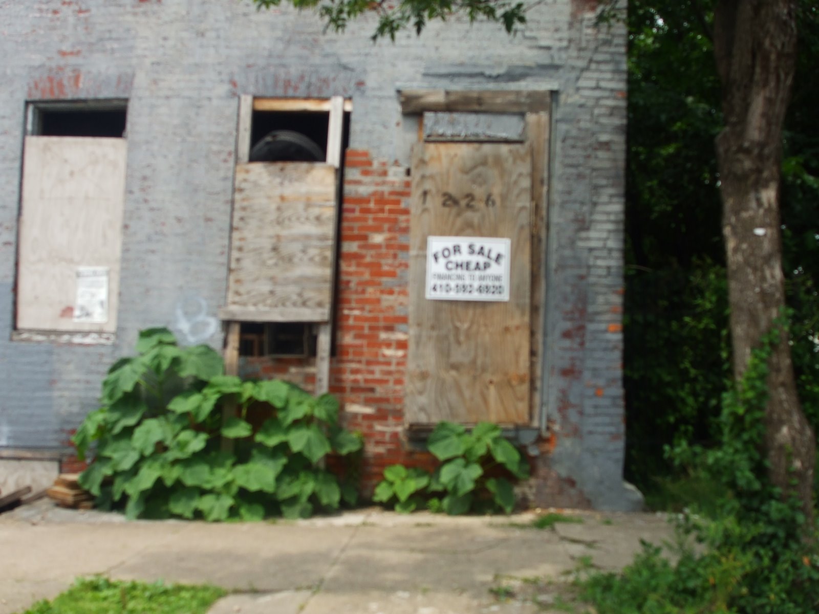 [Hollins+Market14.JPG]