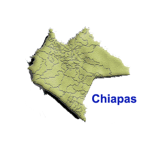 [Chiapas.gif]