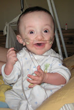 Tukker - 10 Months Old