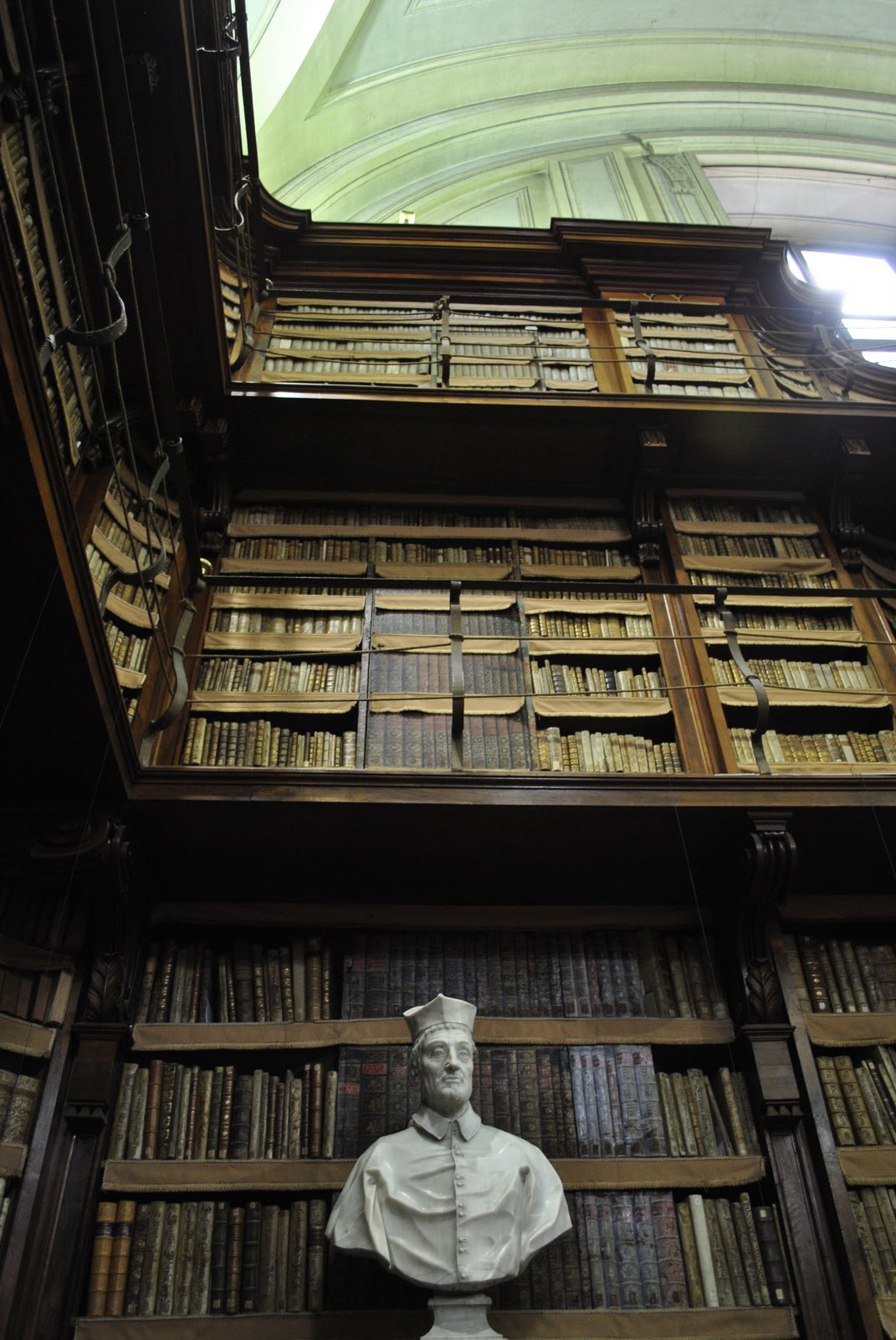 The Torrible Zone Biblioteca Angelica