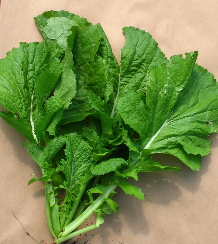 Nihari's CookBook Mustard Leaf Sambal