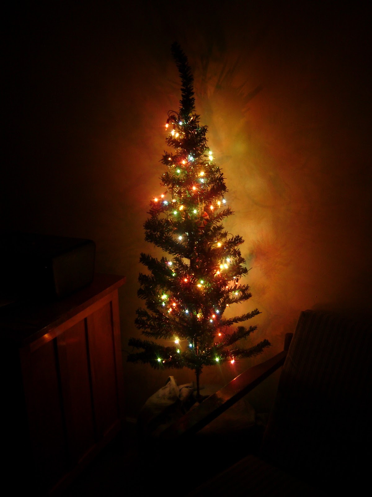 A Kitty In Kenya Christmas In Kenya