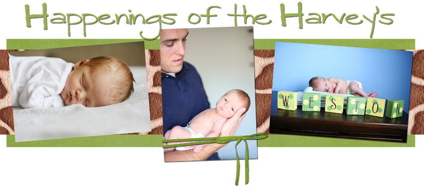 History of the Harveys