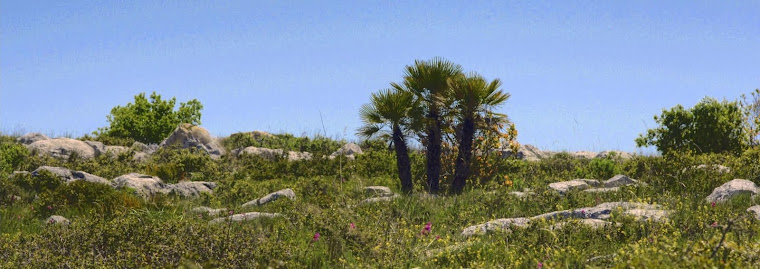 EL GARRAF, des del meu punt de vista