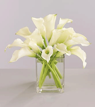 Simplest table centerpiecejust calla lilies in a clear square vase