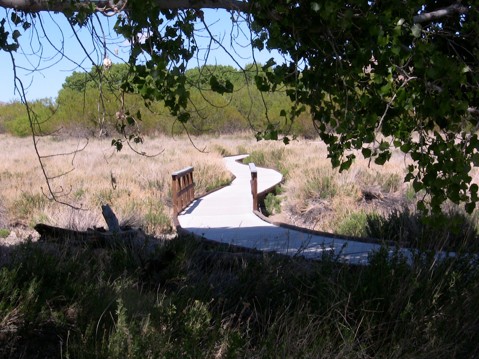 30 Things in 30 Days photo diary Nature Preserve Morongo Valley