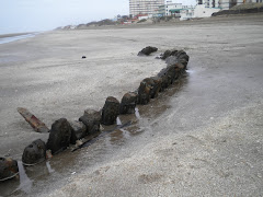 restos del naufragio La Margarita