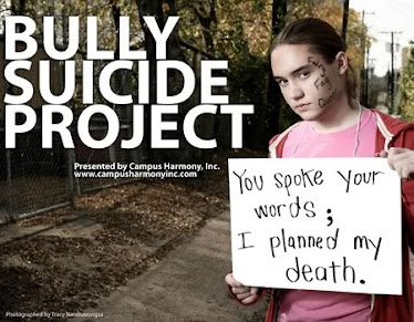 Causes of bullying in school essay image