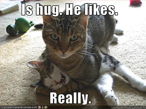 [Image: Cat+Hug.jpg]