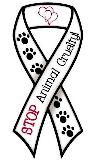 What's happening now?: Woman in rabbit-killing video