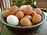 Free range eggs