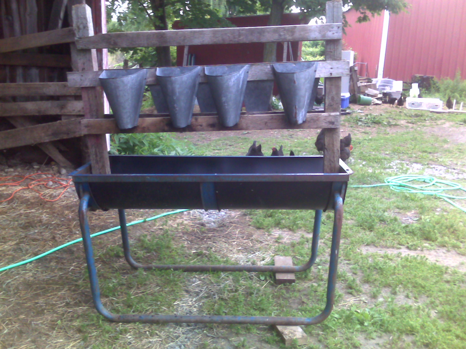 Regular Farmer The Life and Death of a Mighty Food Chicken