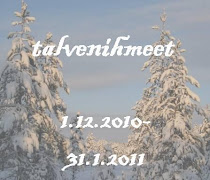 Projekti II: talvenihmeet