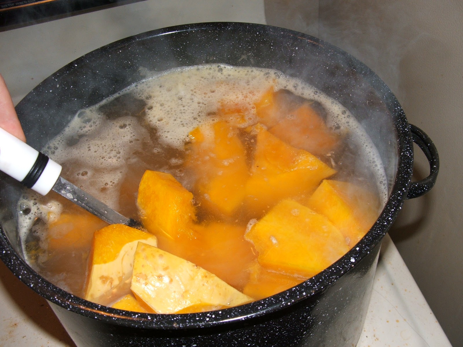 Green Zebra Market Garden Making Pumpkin Puree