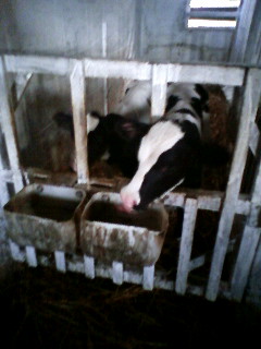 [090720_175946-749862.JPG]