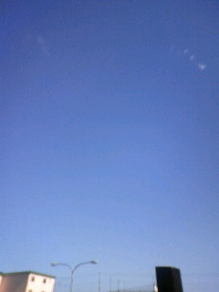 [090814_141549-774176.JPG]