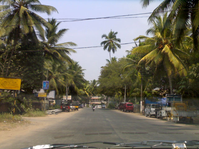 [Image489-769074.jpg]