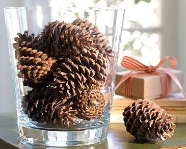 simple-christmas-decoration-pine-cones-decor-idea-diy-easy-fun.jpg