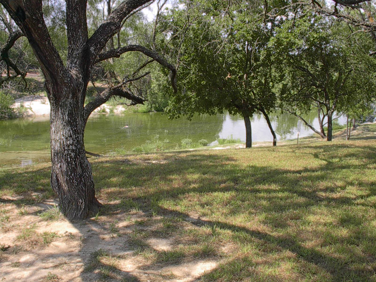 Barbara's Adventures Pictures of Miller Creek