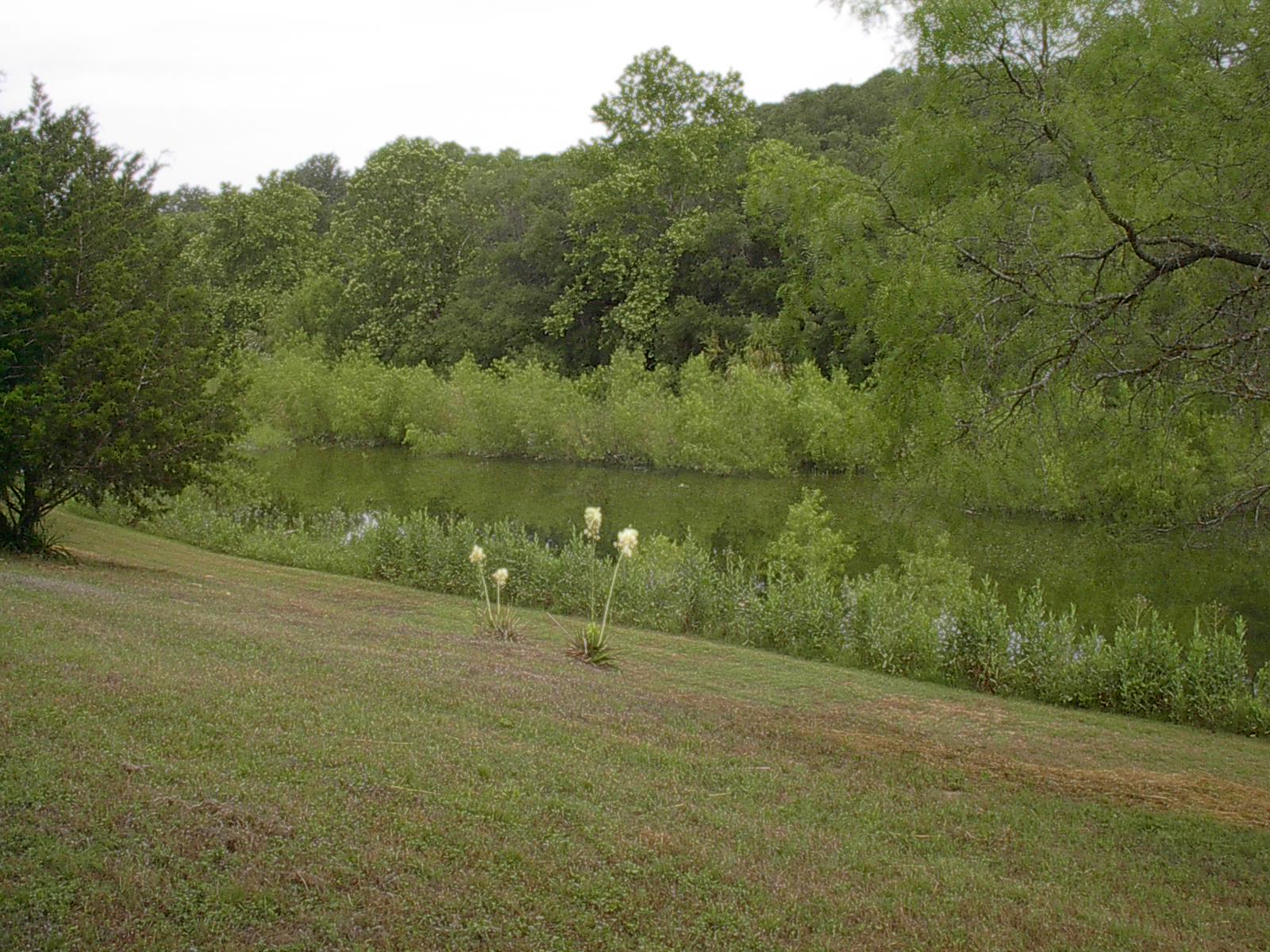 Barbara's Adventures Pictures of Miller Creek