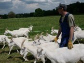 Β Ι Ο Λ Ο Γ Ι Κ Η    Κ Τ Η Ν Ο Τ Ρ Ο Φ Ι Α-- Η  ΕΝΑΛΛΑΚΤΙΚΗ ΛΥΣΗ!!!