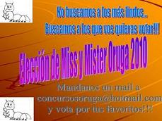 Premio: Elección de Miss y Mister Oruga 2010
