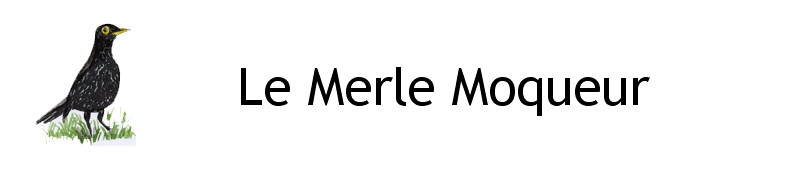 Le Merle Moqueur