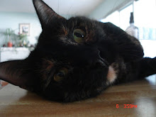 Teka