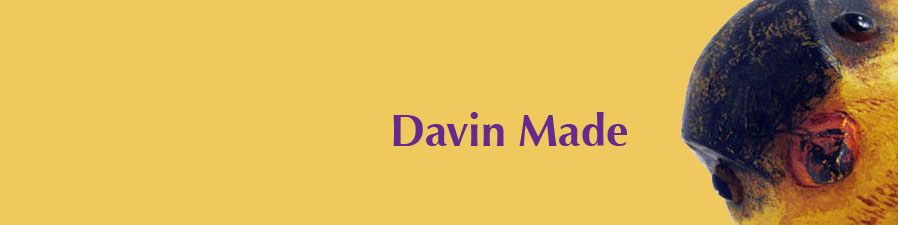 Davin made