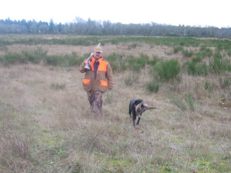 Fast Pup Dog Training Western Washington Pheasant Hunting