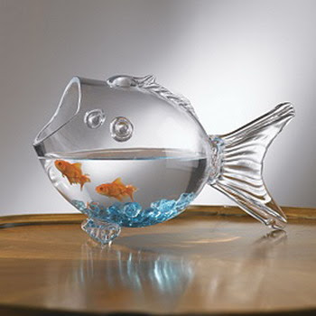 photos of gold fish model bowl aquarium