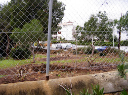 Land next to building , has been cleared by council..