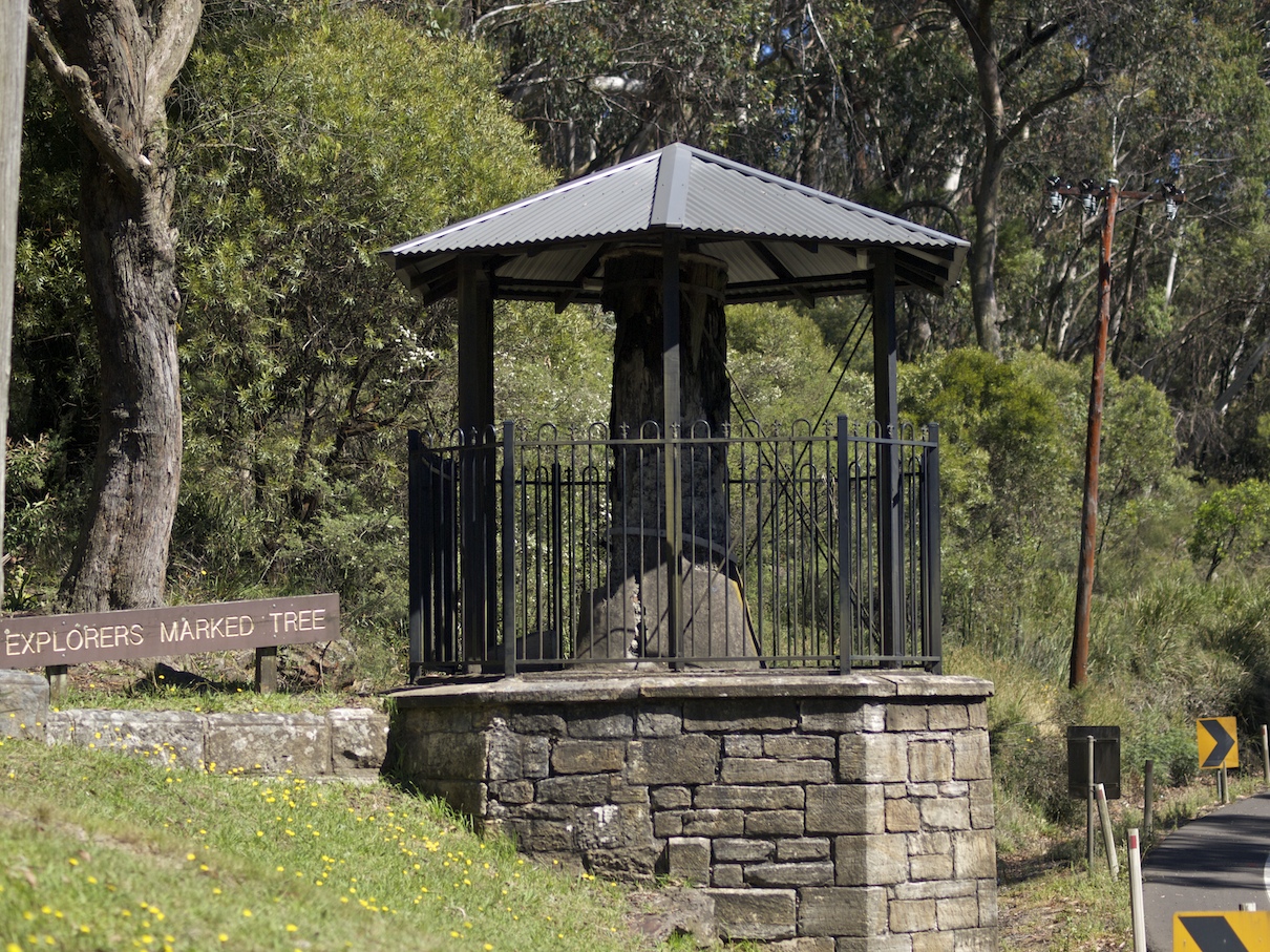 Explorers Marked Tree