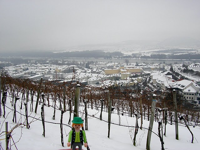 [052+View+over+Krems+and+the+vineyards+where+the+famous+Wachauer+wine+holds+his+winter+sleep..JPG]
