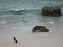 Simon's Town, South Africa