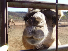 pucker up sweetie, a face only a mother would love