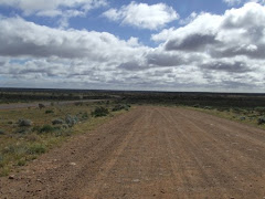 another green valley in the outback