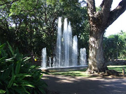 Darwin botanical gardens