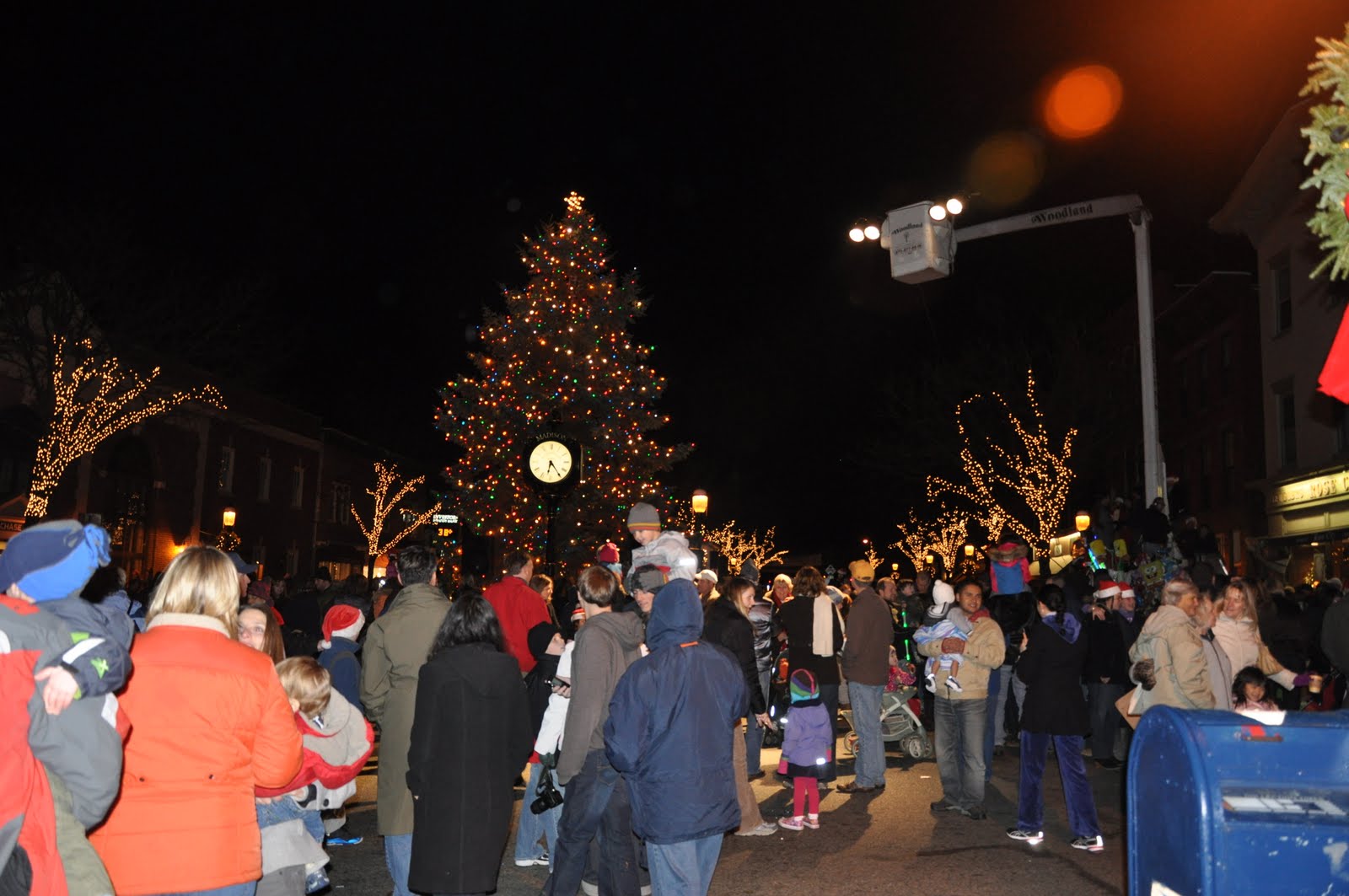 The Rich Family Madison Parade & Lighting of the tree