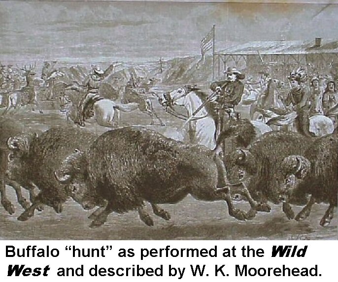 [6+Buff+hunt.jpg]