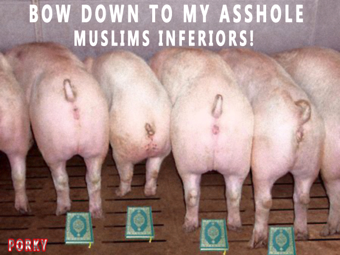 Pigs-coran.jpg