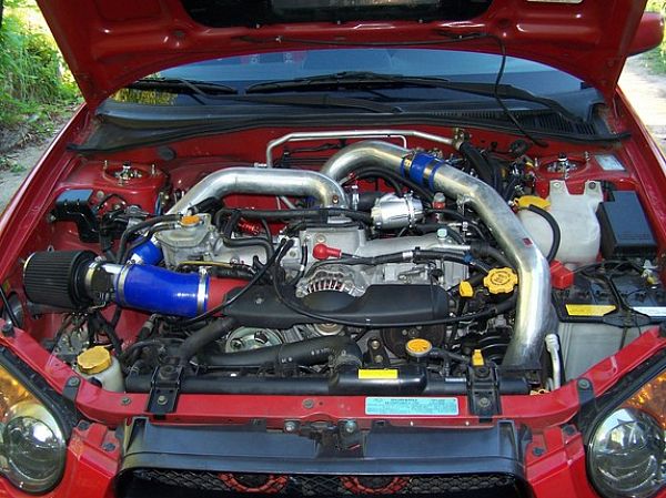 самка ej205
