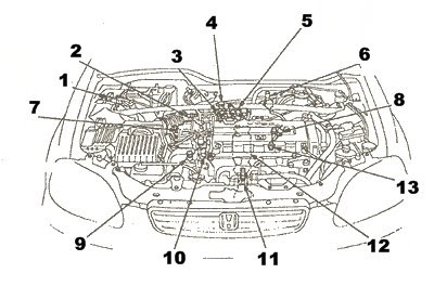 Car Wiring Diagrams: Honda Civic Parts | Engines (DOHC)
