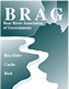 [2sm_braglogo.gif]